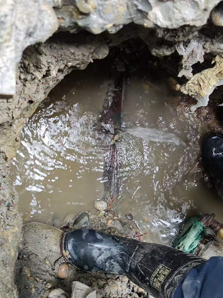 龙州本地绿化水管漏水检测维修